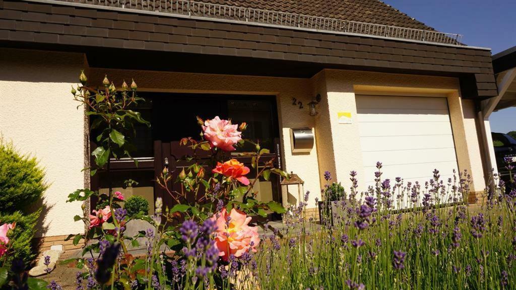 Ferienwohnung Zum Harpelstein Horath Esterno foto