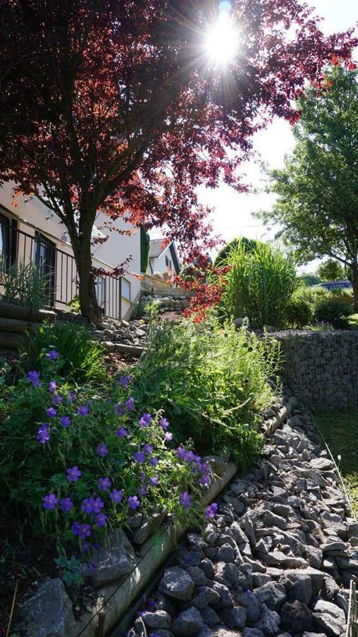 Ferienwohnung Zum Harpelstein Horath Esterno foto